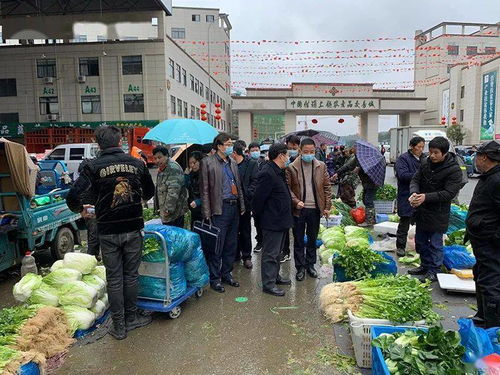 春節期間食用農產品質量安全專項執法行動全面展開，筑牢群眾“菜籃子”安全防線