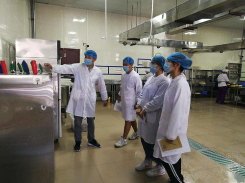 學(xué)生食品安全委員會(huì)成立 家政服務(wù)助力校園健康管理